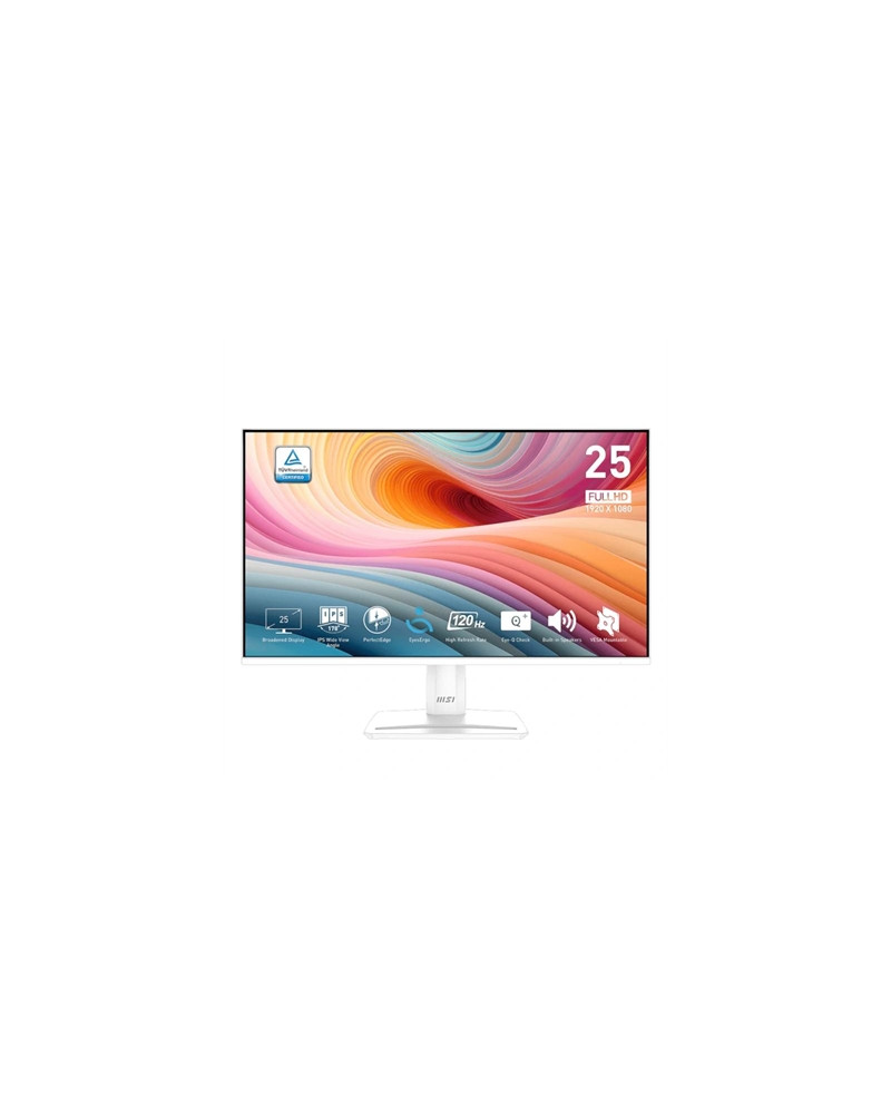 MSI MP251W E2 Monitor 24.5" IPS FHD 16:9 120h VGA