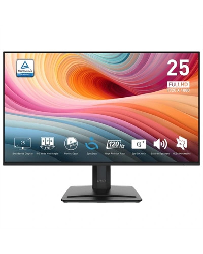 MSI MP251 E2 Monitor 24.5" IPS FHD 16:9 120h VGA
