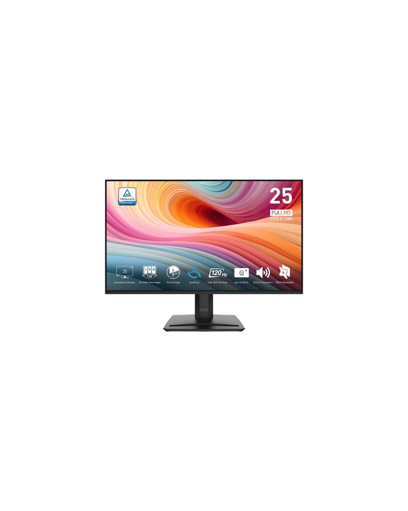 MSI MP251 E2 Monitor 24.5" IPS FHD 16:9 120h VGA