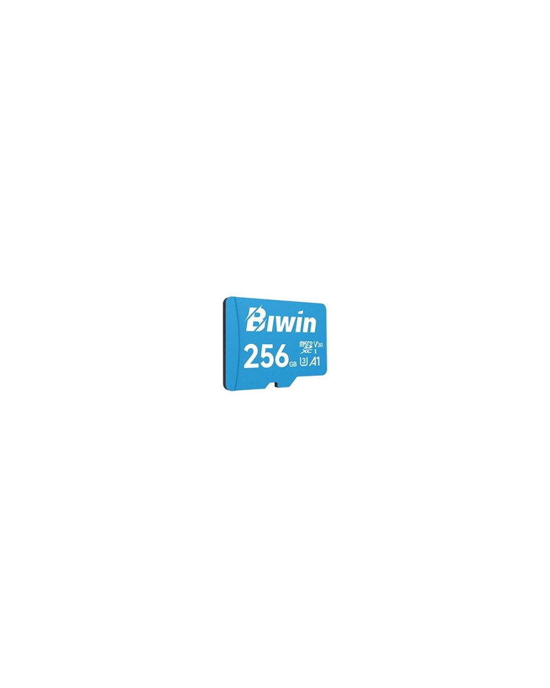 Biwin MS100 microSDXC UHS-1 256GB C10 U3 V30 A1