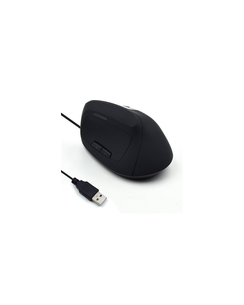 Ewent EW3157 Ratón óptico Vertical Usb 2.0