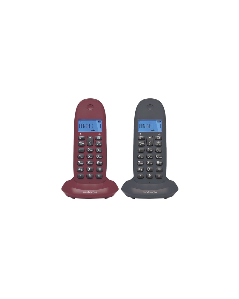 MOTOROLA C1002 LB+ Telefono DECT DUO Gris-Granate