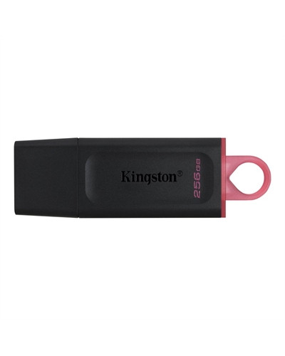 Kingston DataTraveler DTX 256GB USB 3.2 Gen1 Negro