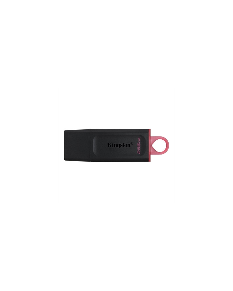 Kingston DataTraveler DTX 256GB USB 3.2 Gen1 Negro