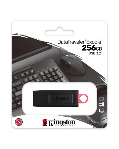 Kingston DataTraveler DTX 256GB USB 3.2 Gen1 Negro