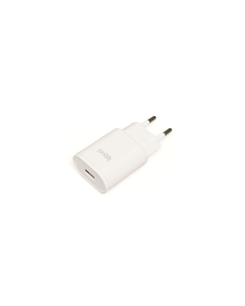 iggual Cargador de pared 1xUSB 5V/2A 10W