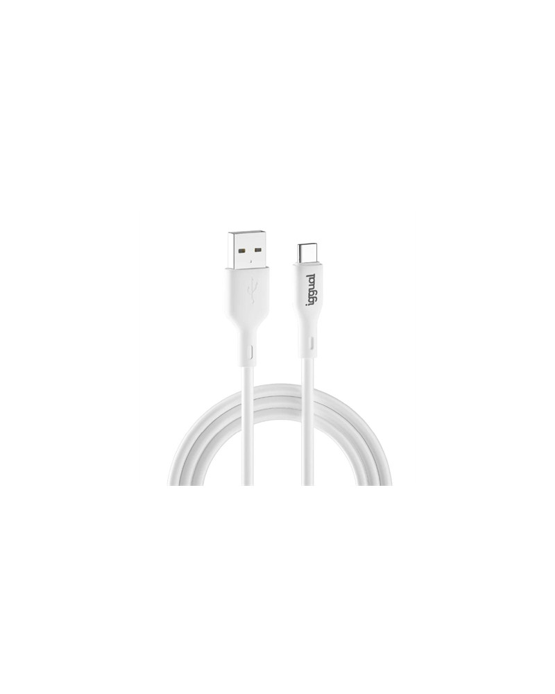 iggual cable USB-A/USB-C 100 cm blanco