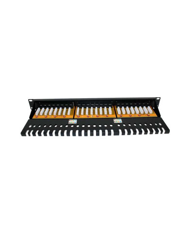 2LAN Patch Panel 19" CAT6A 24 Puertos UTP