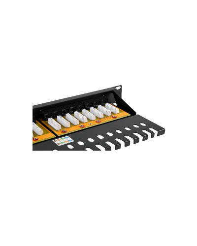 2LAN Patch Panel 19" CAT6A 24 Puertos UTP