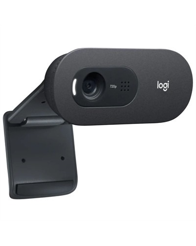 Logitech Webcam c505E 1280*720 Negro