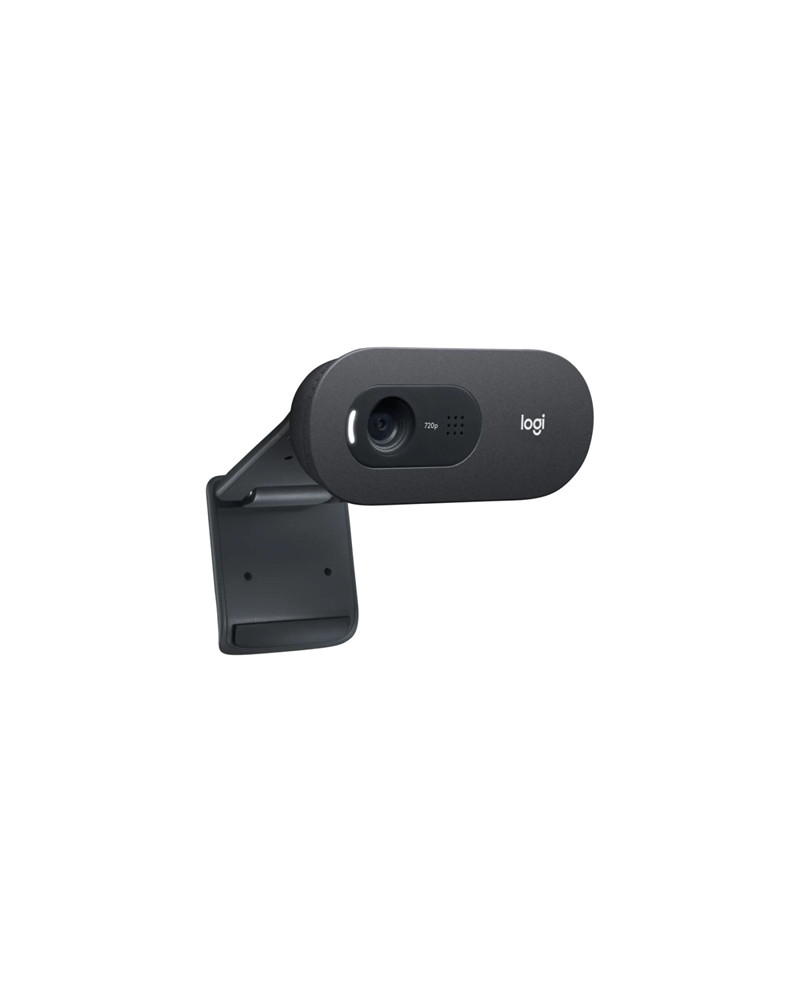 Logitech Webcam c505E 1280*720 Negro
