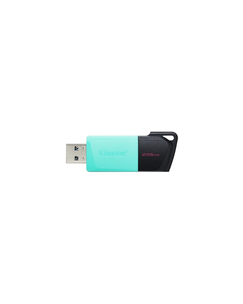 Kingston DataTraveler DTXM 256GB USB 3.2 Gen1 Turq