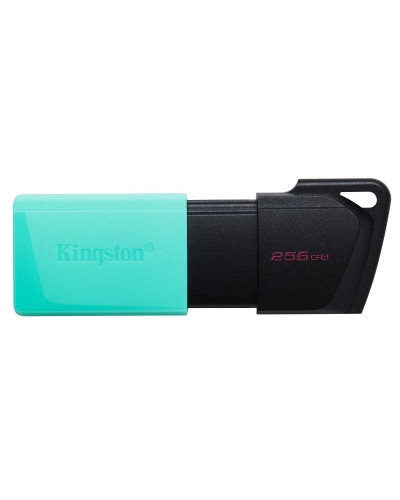 Kingston DataTraveler DTXM 256GB USB 3.2 Gen1 Turq