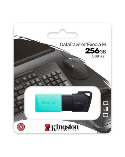 Kingston DataTraveler DTXM 256GB USB 3.2 Gen1 Turq