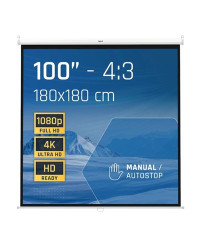 iggual Pantalla manual 4:3 100" 180x180 cm