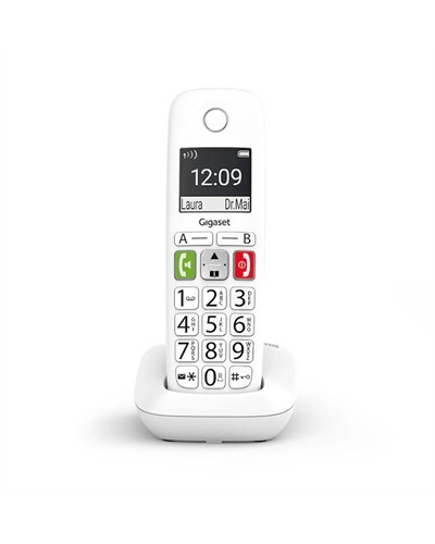 Gigaset E290 Inalámbrico DECT Blanco
