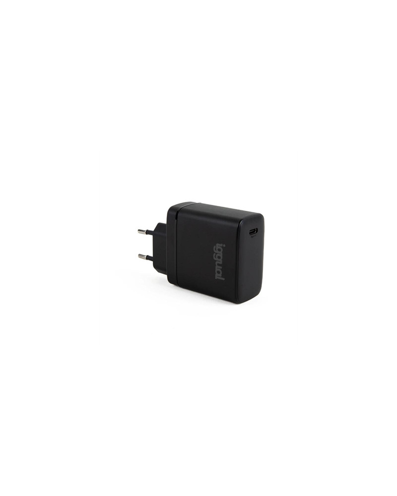 iggual Cargador rápido USB PD tipo C 45W GaN
