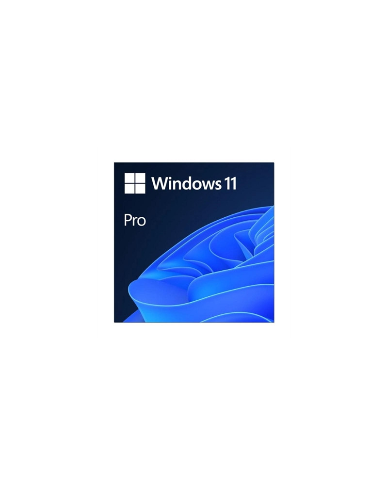 Microsoft Windows 11 Pro 64b  ESD