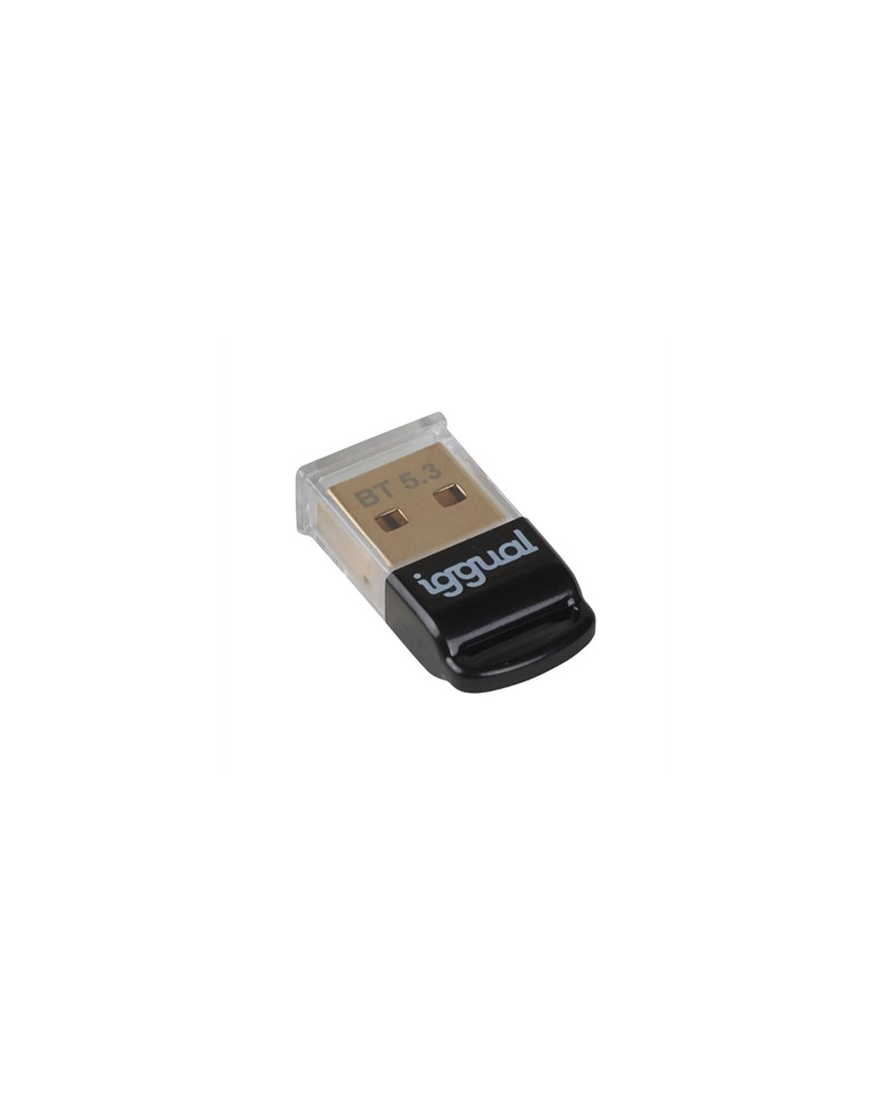 iggual Adaptador USB 2.0 mini Bluetooth 5.3