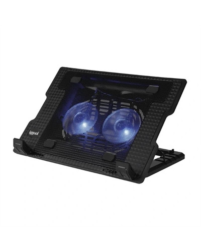 iggual Refrigerador portátil 2 ventiladors RP2V17A