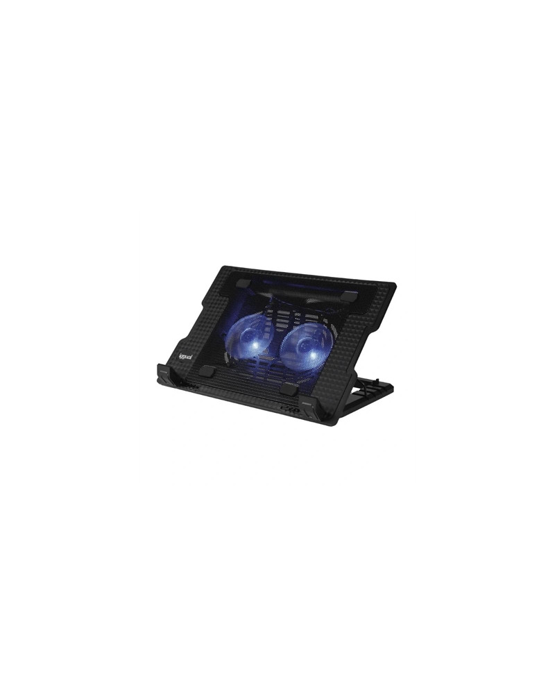 iggual Refrigerador portátil 2 ventiladors RP2V17A