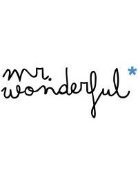 MR WONDERFUL